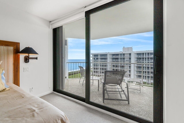 bedroom featuring a water view and carpet flooring