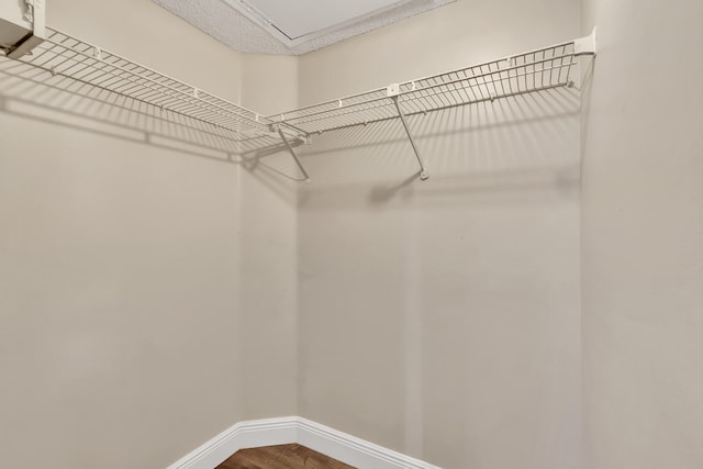 walk in closet featuring hardwood / wood-style floors