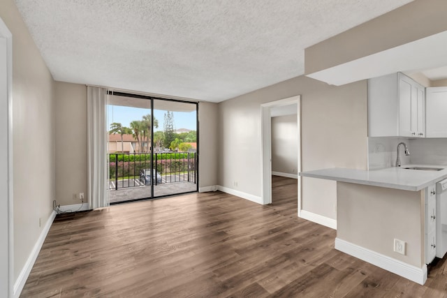 unfurnished living room with a textured ceiling, sink, and dark hardwood / wood-style flooring