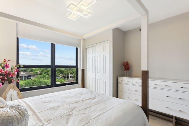 bedroom with light wood-type flooring and a closet