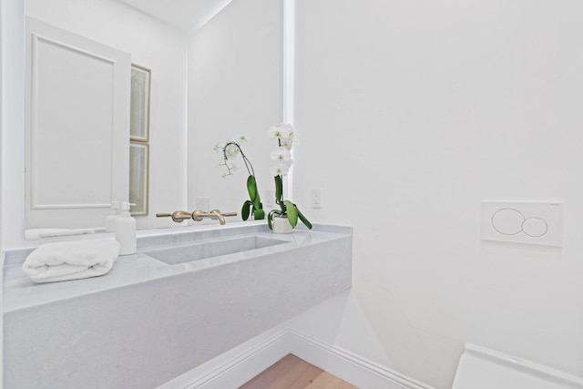 bathroom with sink and hardwood / wood-style floors