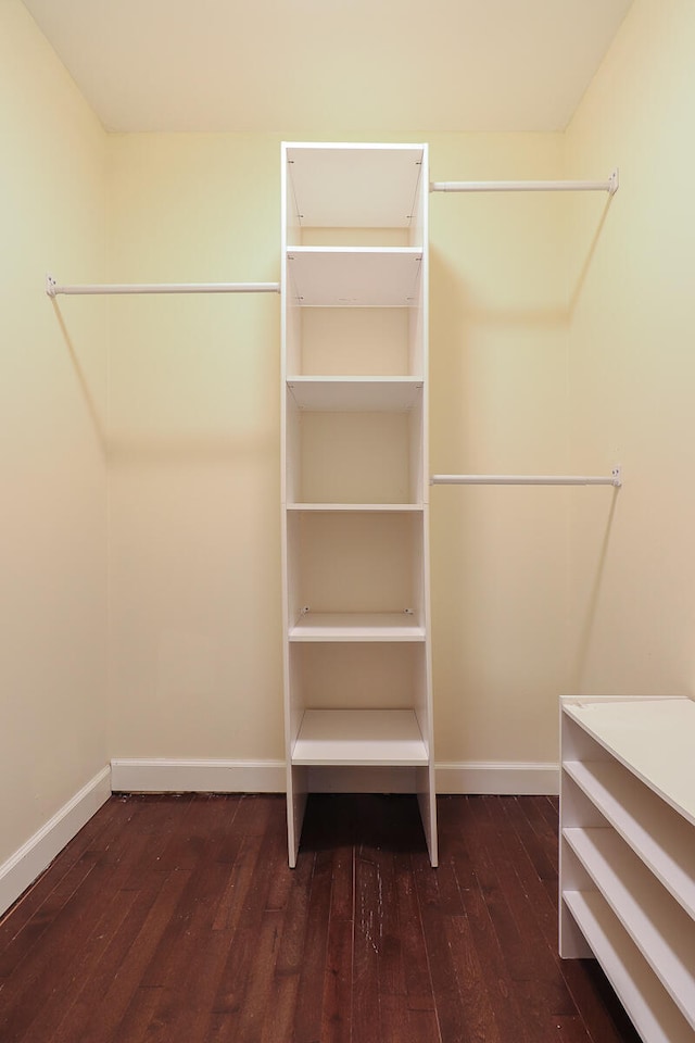 spacious closet with dark wood-type flooring