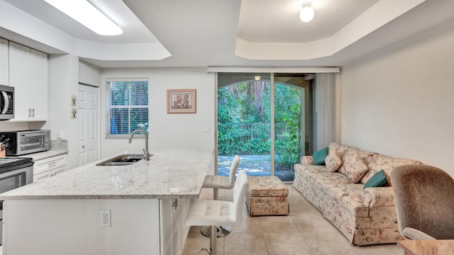 kitchen with a kitchen breakfast bar, white cabinets, a tray ceiling, a center island with sink, and sink