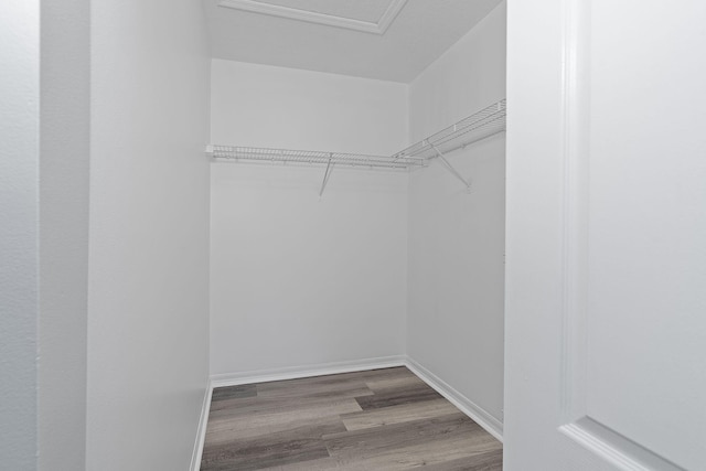 spacious closet featuring wood-type flooring