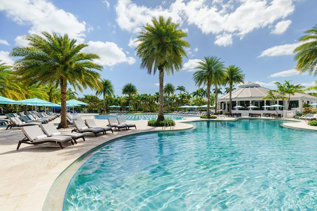 view of pool featuring a patio