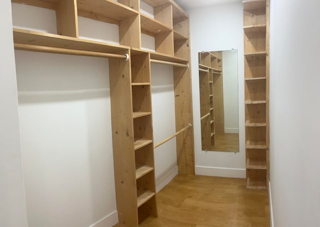 spacious closet featuring light hardwood / wood-style floors