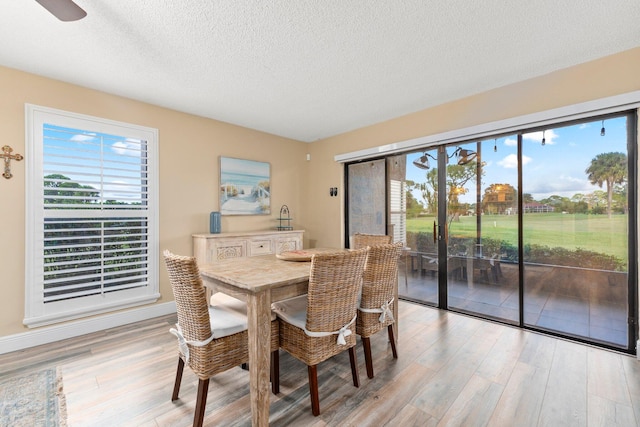 dining area with light wood-type flooring, a textured ceiling, and sink