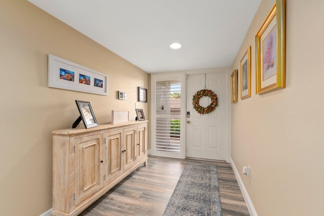 entryway with wood-type flooring