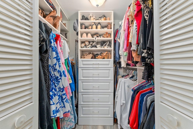 spacious closet with hardwood / wood-style flooring