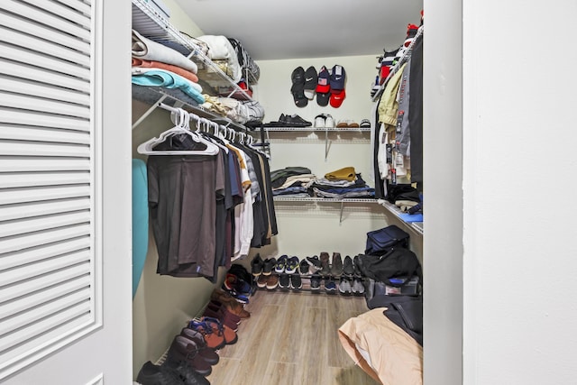 spacious closet featuring wood-type flooring