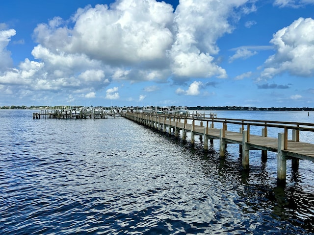 dock area featuring a water view