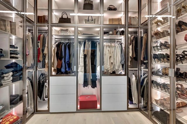 spacious closet featuring wood-type flooring