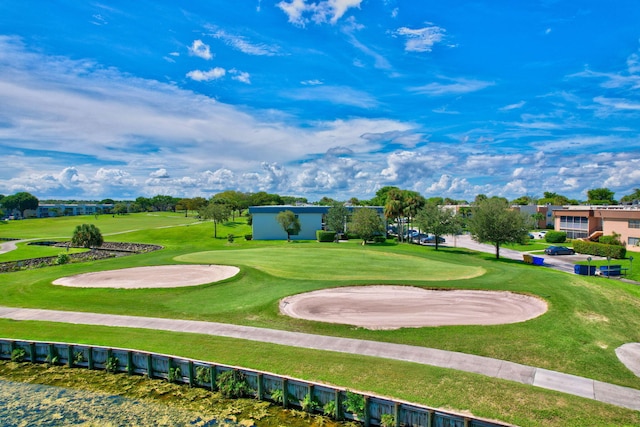 view of home's community with a lawn