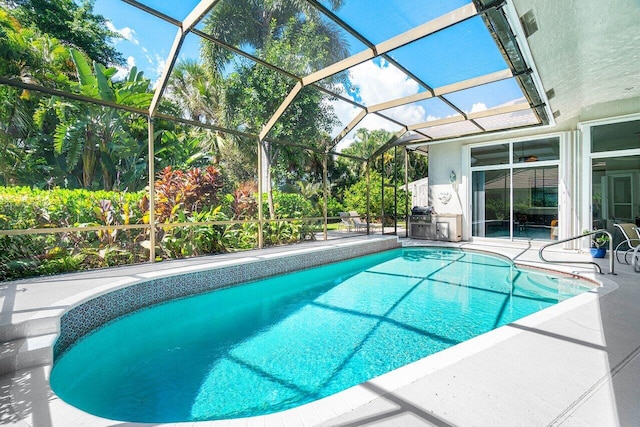 view of pool with a patio area and glass enclosure