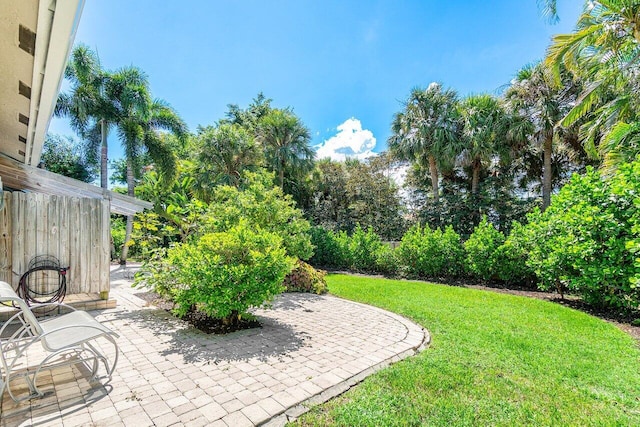 view of yard with a patio area