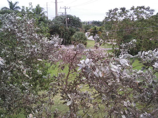 view of landscape