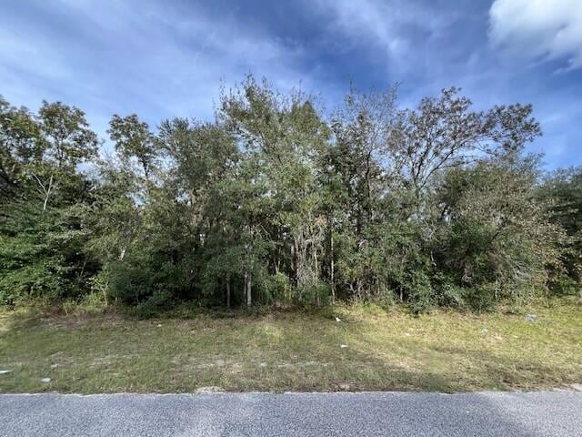 TBD SW 146th Ln Rd, Ocala FL, 34473 land for sale