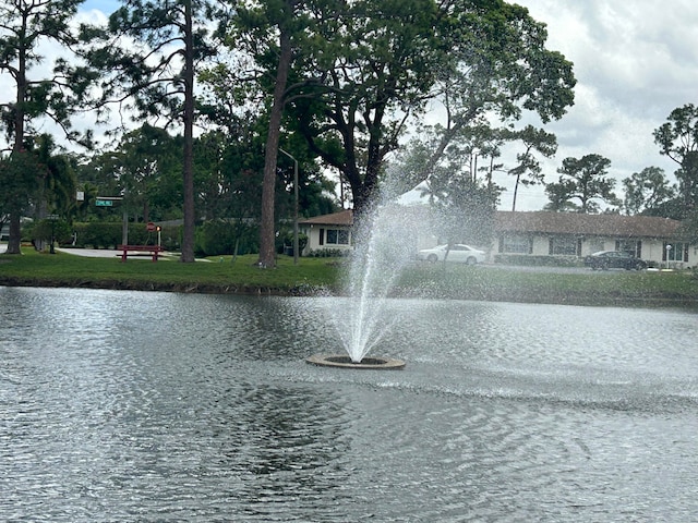 view of water feature