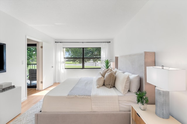 bedroom with light hardwood / wood-style floors, multiple windows, and access to exterior