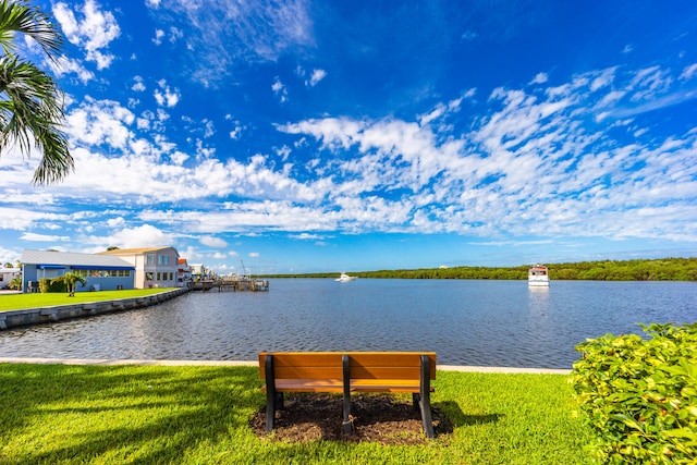 property view of water