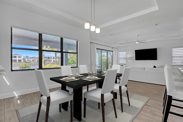 dining space with light wood-type flooring, ceiling fan, and a tray ceiling