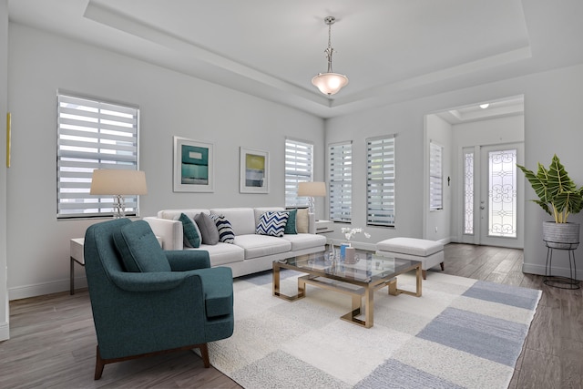 living room with hardwood / wood-style flooring and a raised ceiling