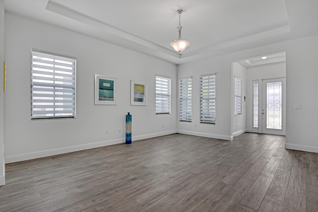 foyer featuring plenty of natural light, hardwood / wood-style floors, and a raised ceiling