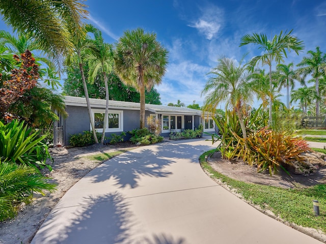 ranch-style home with stucco siding and concrete driveway