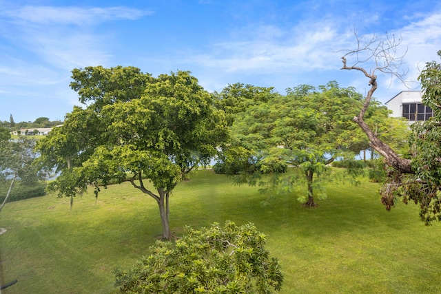 view of yard with a water view