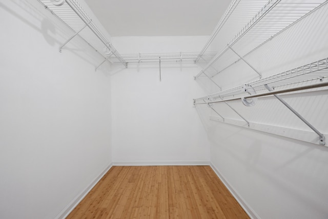 spacious closet featuring hardwood / wood-style floors