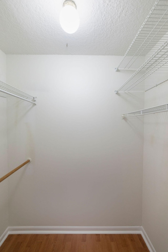 walk in closet with wood-type flooring