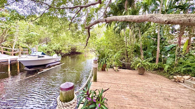 dock area with a water view