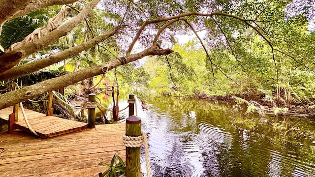 dock area with a water view