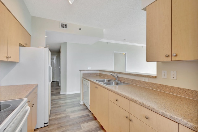 kitchen featuring light hardwood / wood-style flooring, light brown cabinetry, and sink