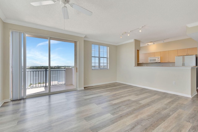 unfurnished living room with light wood-type flooring and plenty of natural light