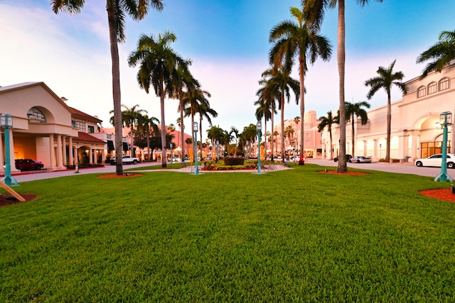 surrounding community featuring a lawn