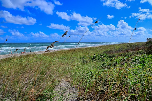 water view featuring a beach view