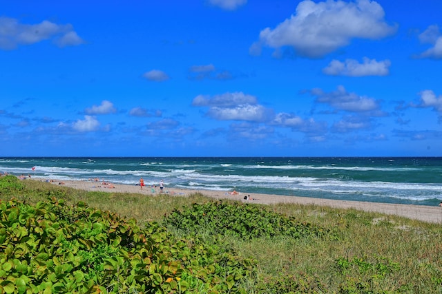 view of water feature featuring a view of the beach