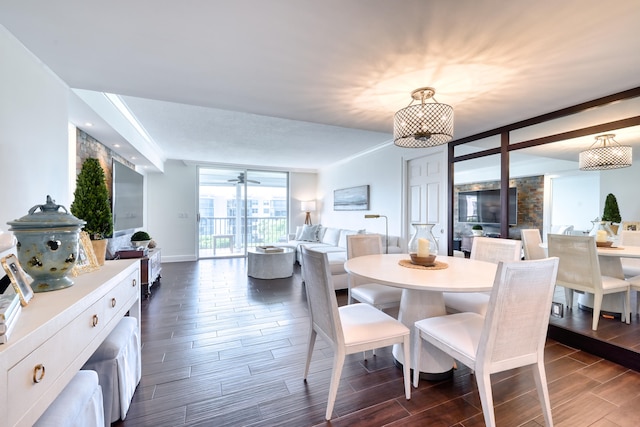 dining room with expansive windows, dark wood-type flooring, and ceiling fan