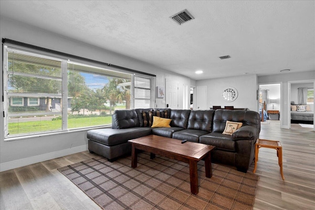 living room with wood-type flooring and a textured ceiling