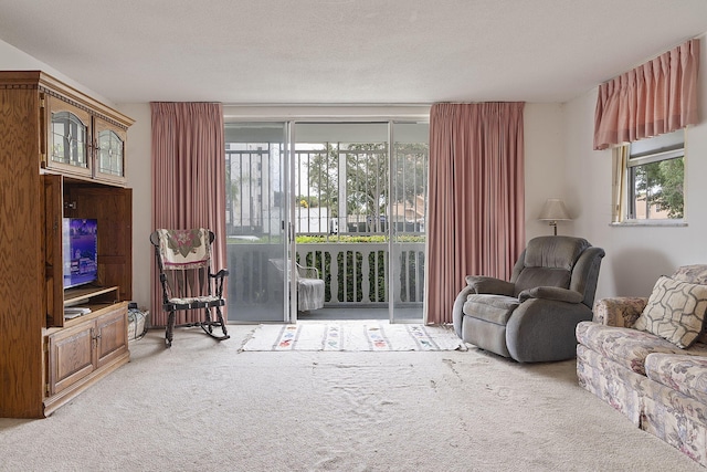 carpeted living room featuring a textured ceiling