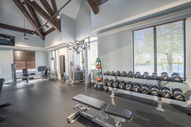 exercise room featuring high vaulted ceiling