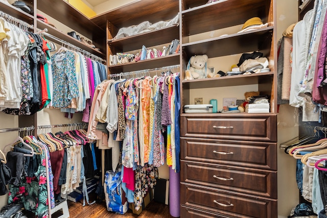 walk in closet featuring dark hardwood / wood-style floors