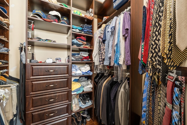 view of walk in closet