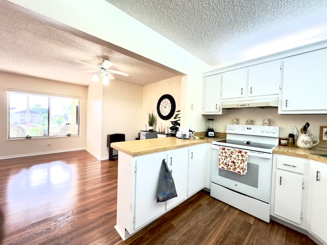 kitchen featuring electric stove, white cabinetry, and dark hardwood / wood-style flooring