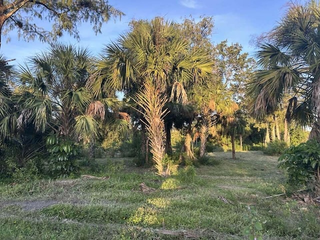 Listing photo 3 for 14439 Collecting Canal Rd, Loxahatchee FL 33470