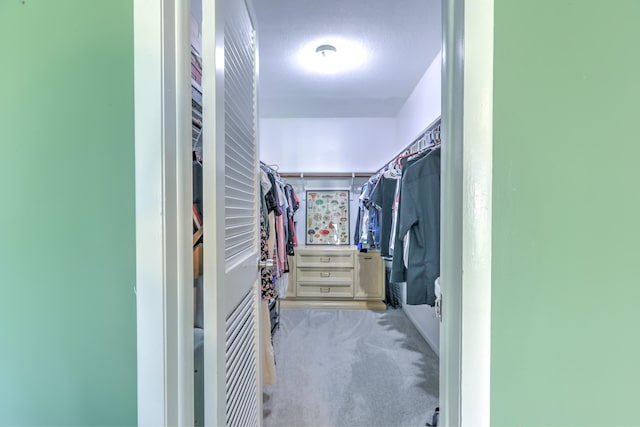 spacious closet with carpet