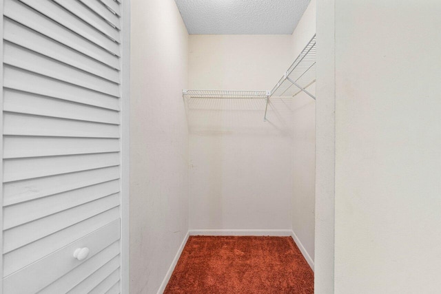 spacious closet featuring carpet flooring