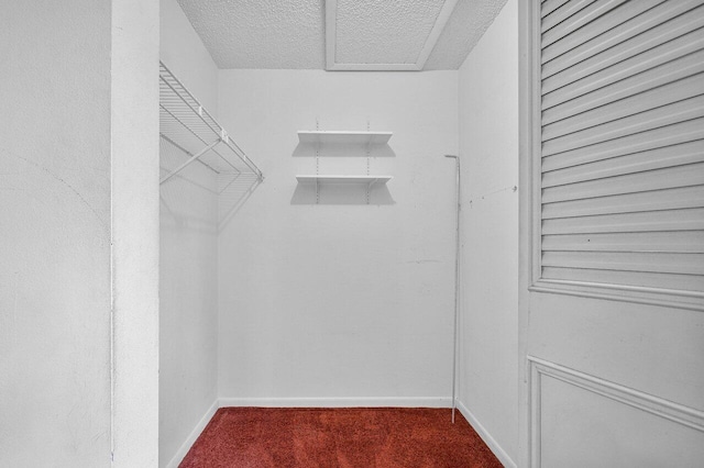 walk in closet with carpet flooring