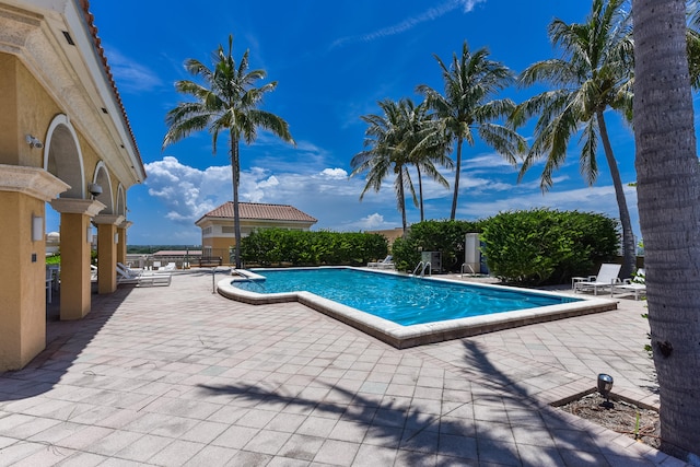 view of swimming pool with a patio